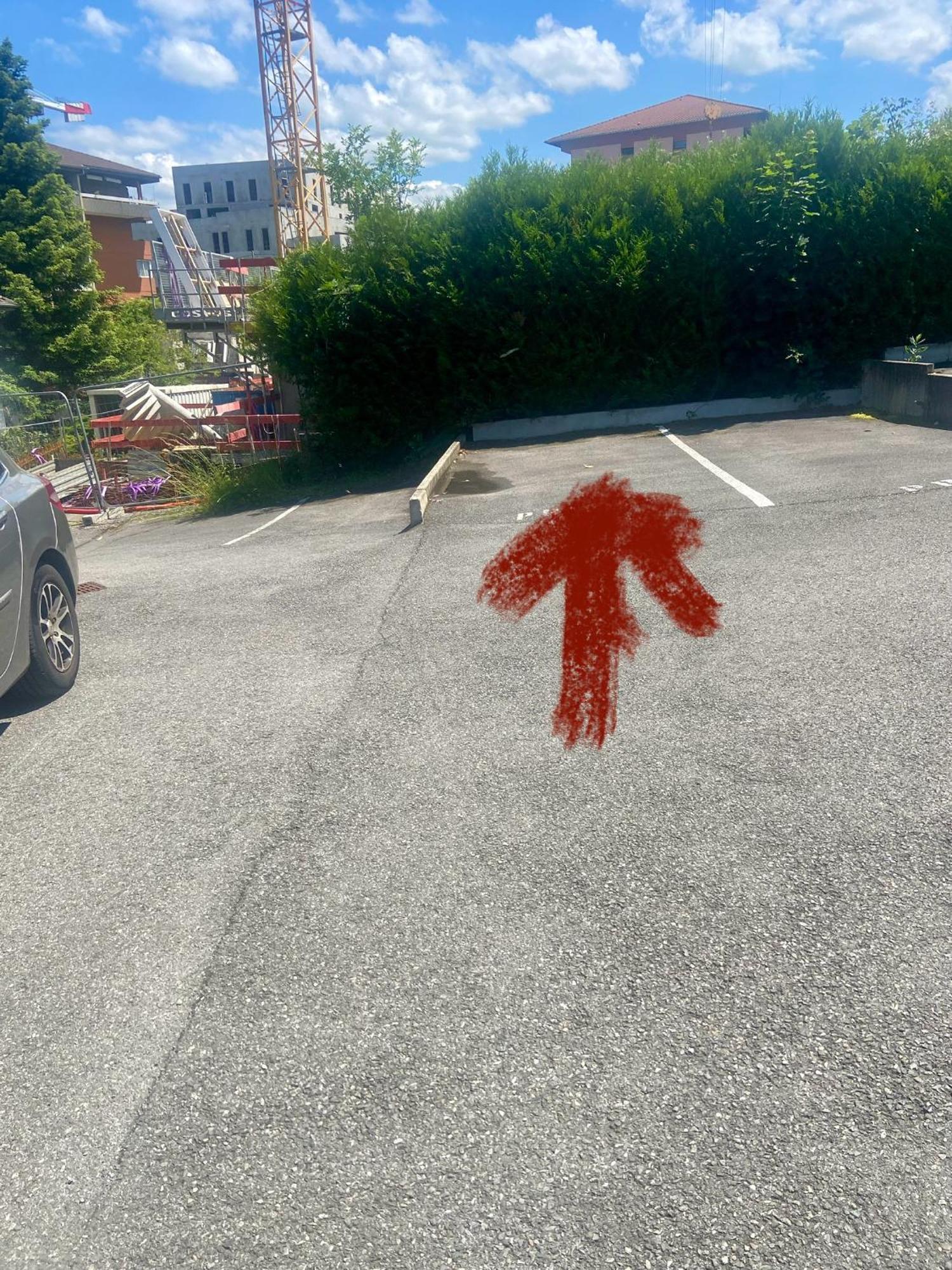 Les Lucioles Lägenhet Thonon-les-Bains Exteriör bild